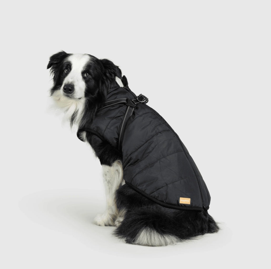 Dog Jacket