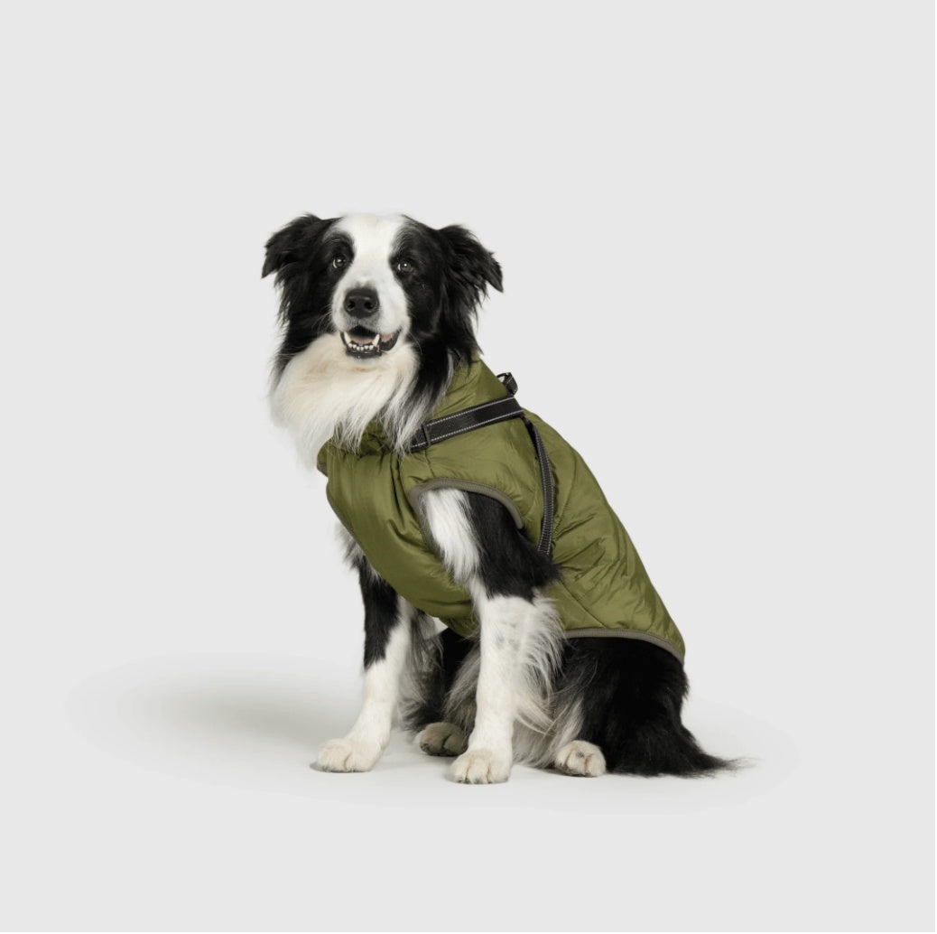 Dog Jacket