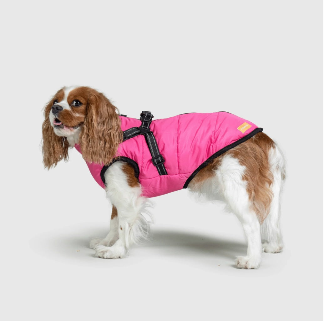 Dog Jacket