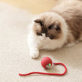 Load image into Gallery viewer, Interactive Cat Toys Ball
