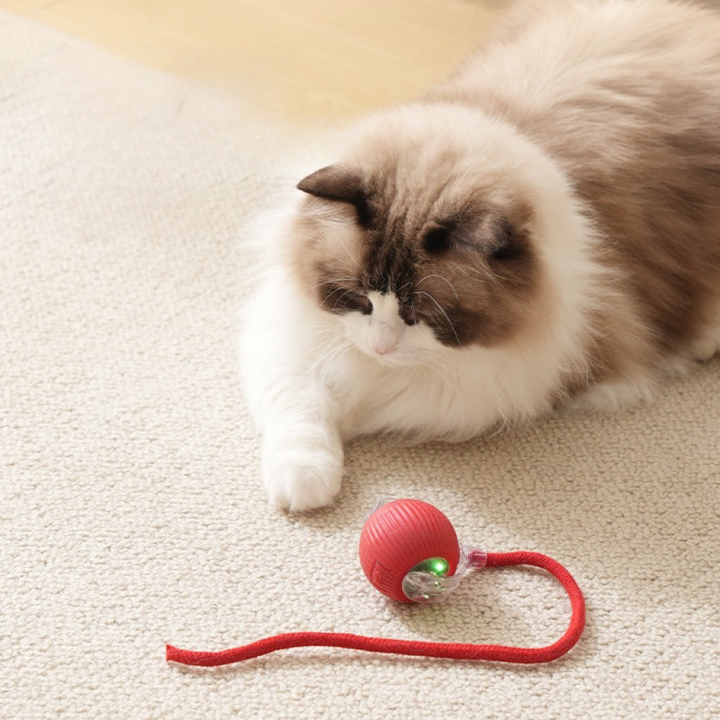 Interactive Cat Toys Ball