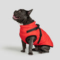 Load image into Gallery viewer, Dog Jacket
