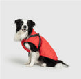 Load image into Gallery viewer, Dog Jacket
