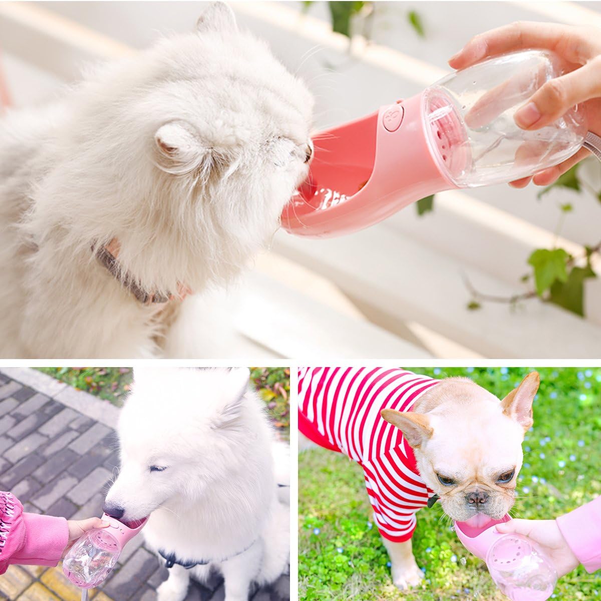 Portable dog water bottle