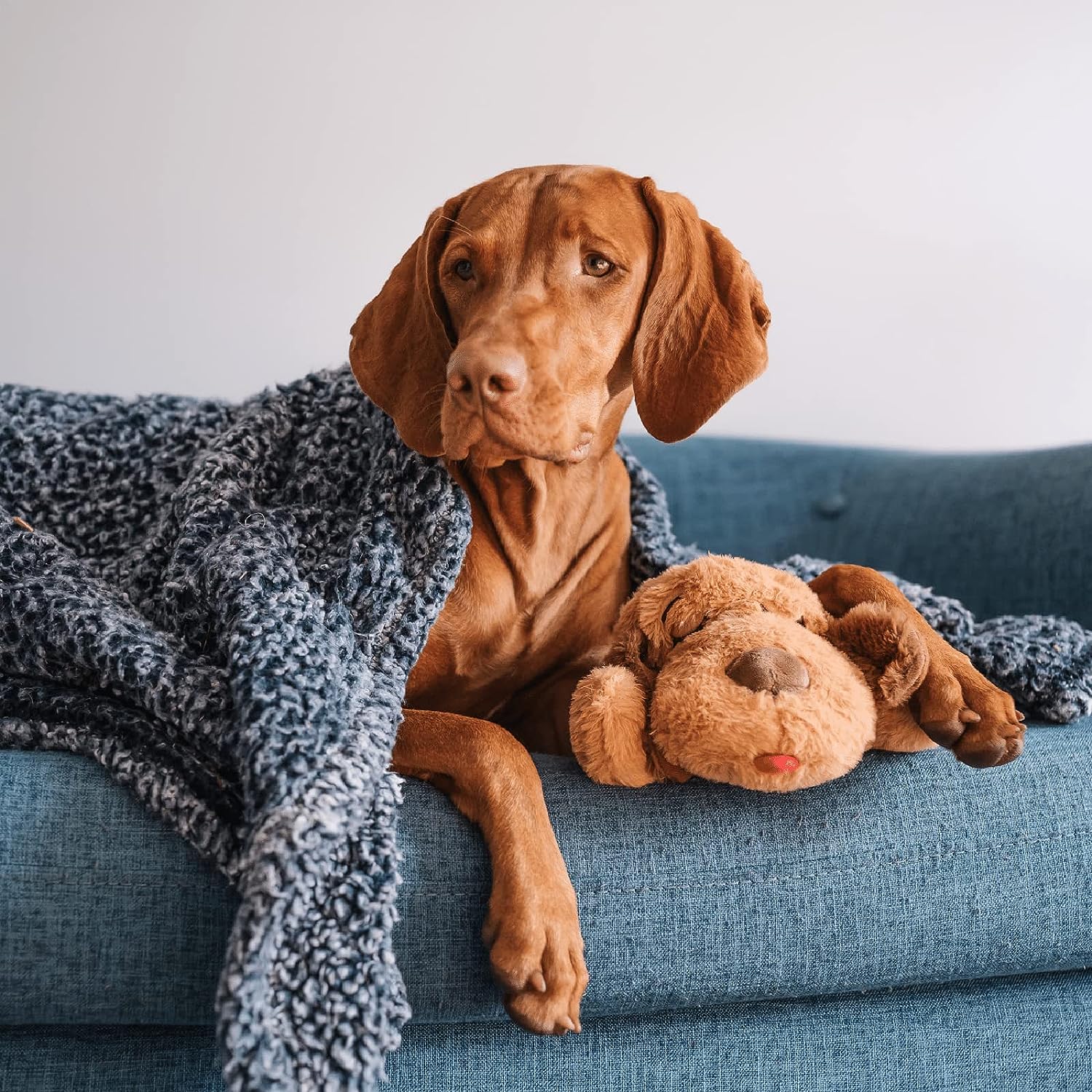 Puppy heartbeat stuffed toy