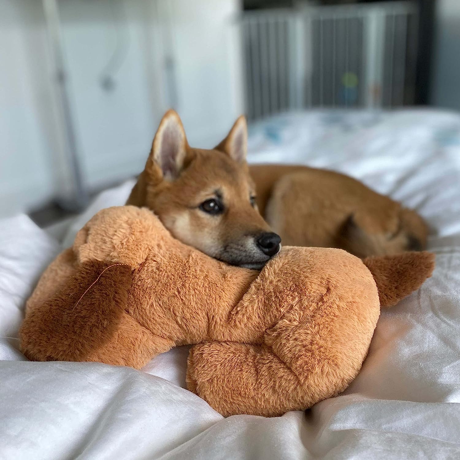 Puppy heartbeat stuffed toy