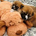 Load image into Gallery viewer, Puppy heartbeat stuffed toy
