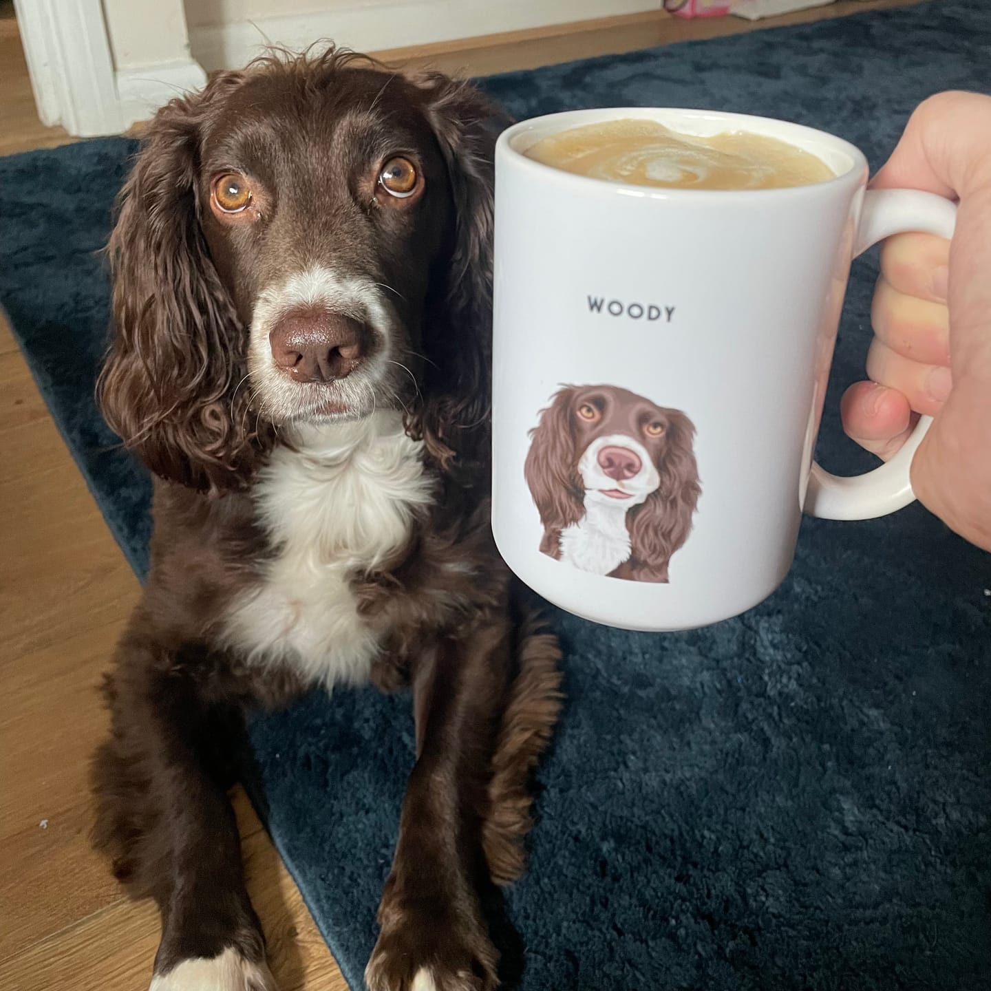 Custom pet portrait mug