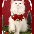 Load image into Gallery viewer, Crocheted Christmas Pet Collar
