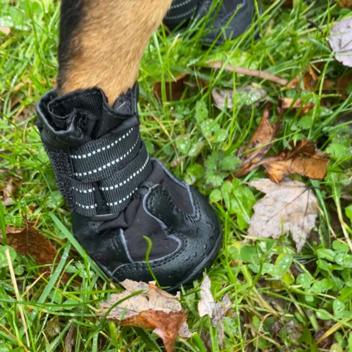 Waterproof Non-Slip Dog Boots