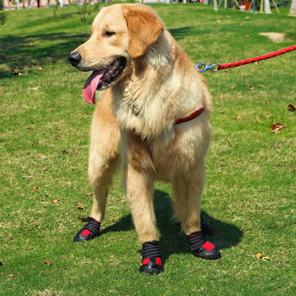 Waterproof Non-Slip Dog Boots