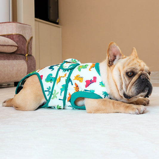 Dog Recovery Suit