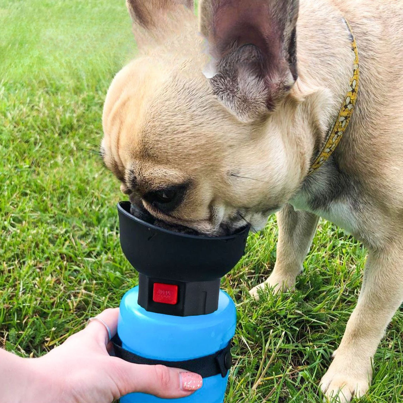 520ML Portable Dog Water Dispenser