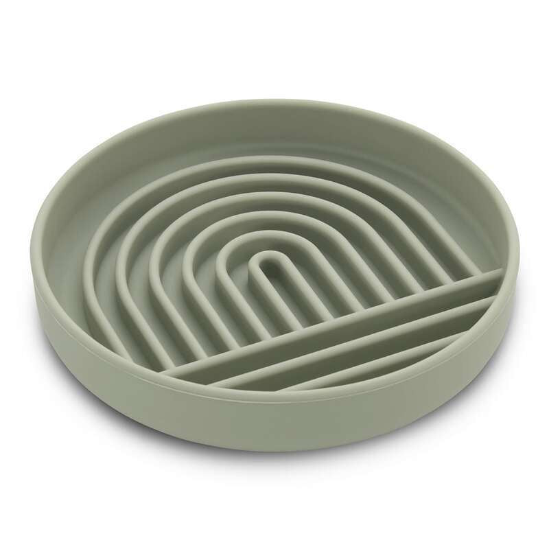 Slow Feeder Dog Bowl & Silicone Pet Food Mat Set