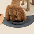 Load image into Gallery viewer, Slow Feeder Dog Bowl & Silicone Pet Food Mat Set
