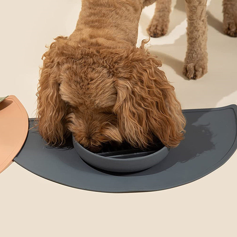 Slow Feeder Dog Bowl & Silicone Pet Food Mat Set