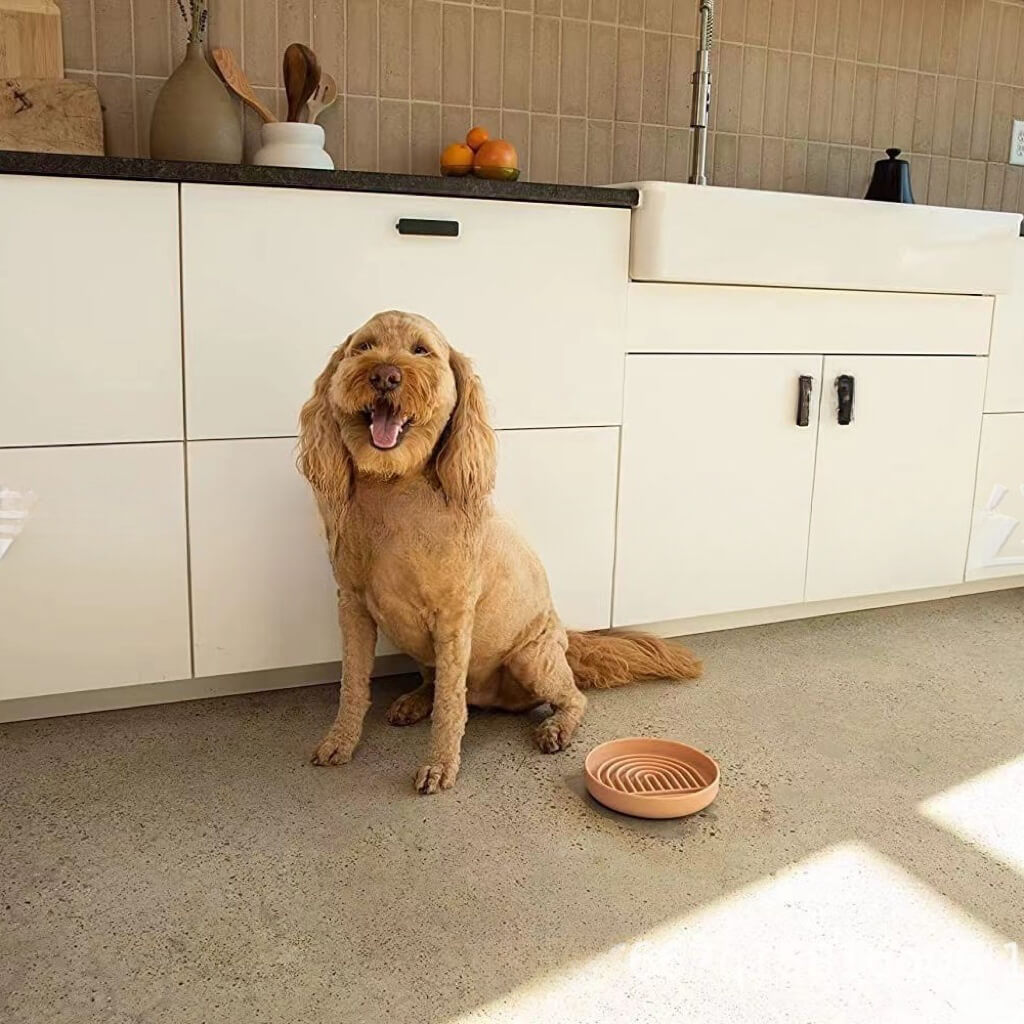 Slow Feeder Dog Bowl & Silicone Pet Food Mat Set