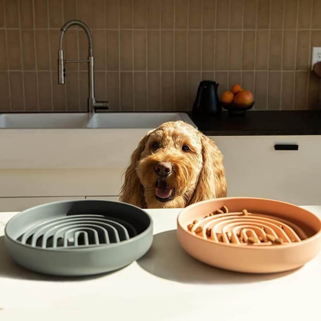 Slow Feeder Dog Bowl & Silicone Pet Food Mat Set