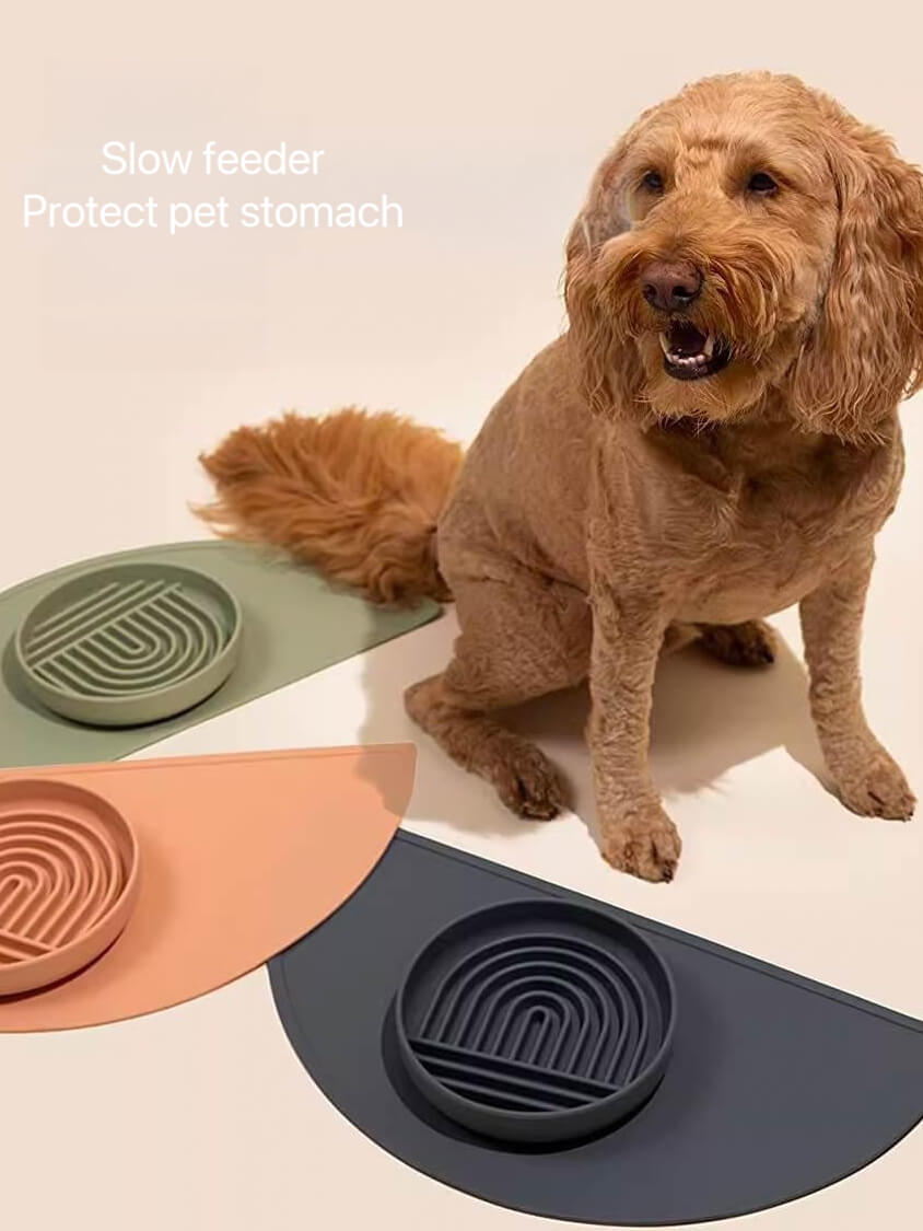 Slow Feeder Dog Bowl & Silicone Pet Food Mat Set