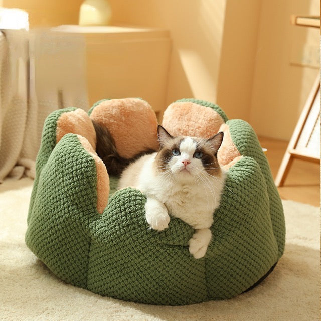 The fluffy cactus bed for pet