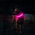 Load image into Gallery viewer, Rechargeable Glow LED Dog Collar
