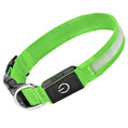 Load image into Gallery viewer, Rechargeable Glow LED Dog Collar
