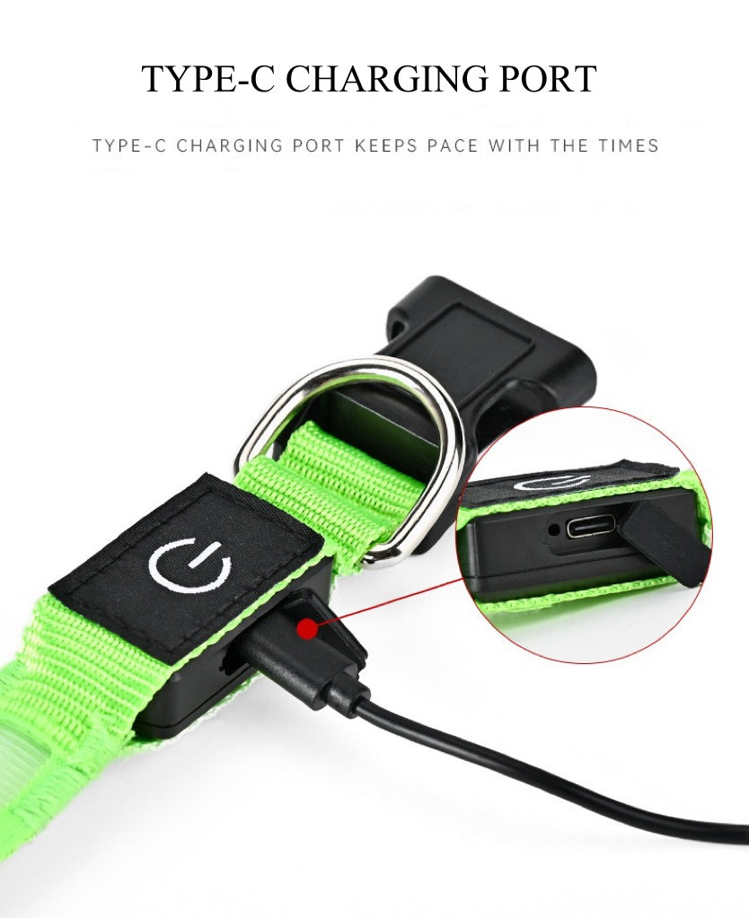 Rechargeable Glow LED Dog Collar