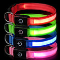 Load image into Gallery viewer, Rechargeable Glow LED Dog Collar
