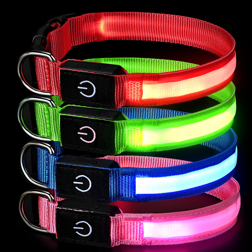 Rechargeable Glow LED Dog Collar