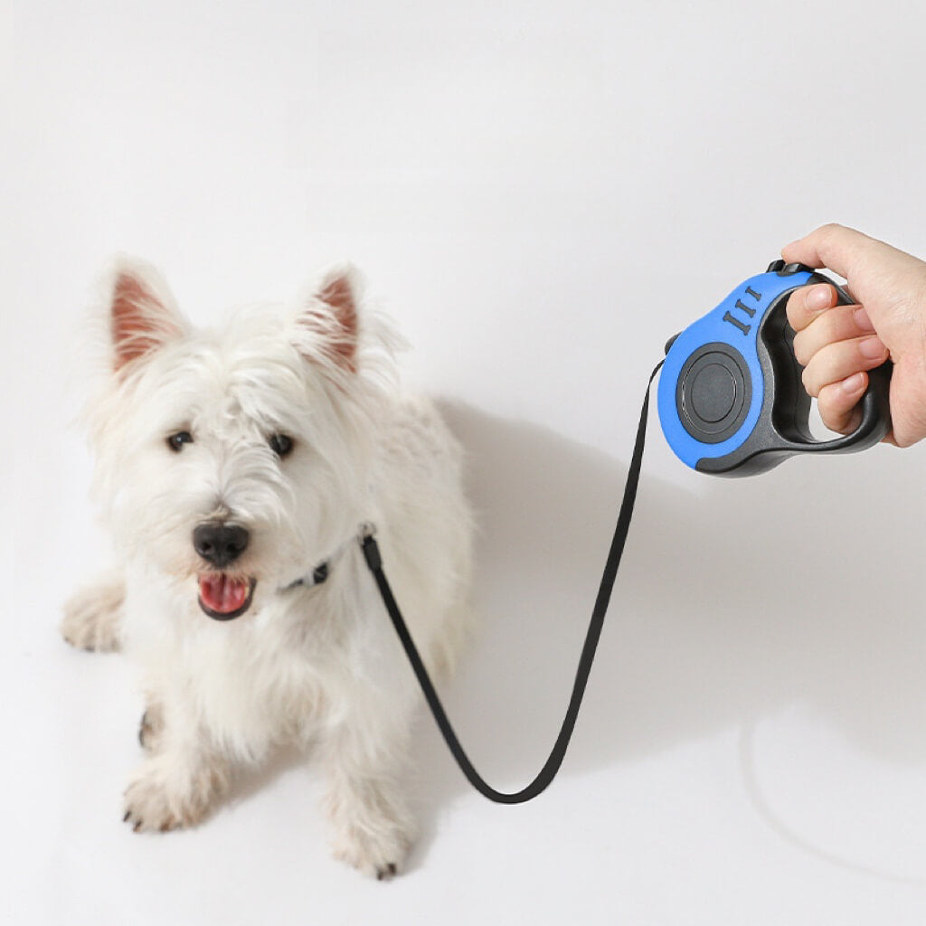 Retractable Dog Leash