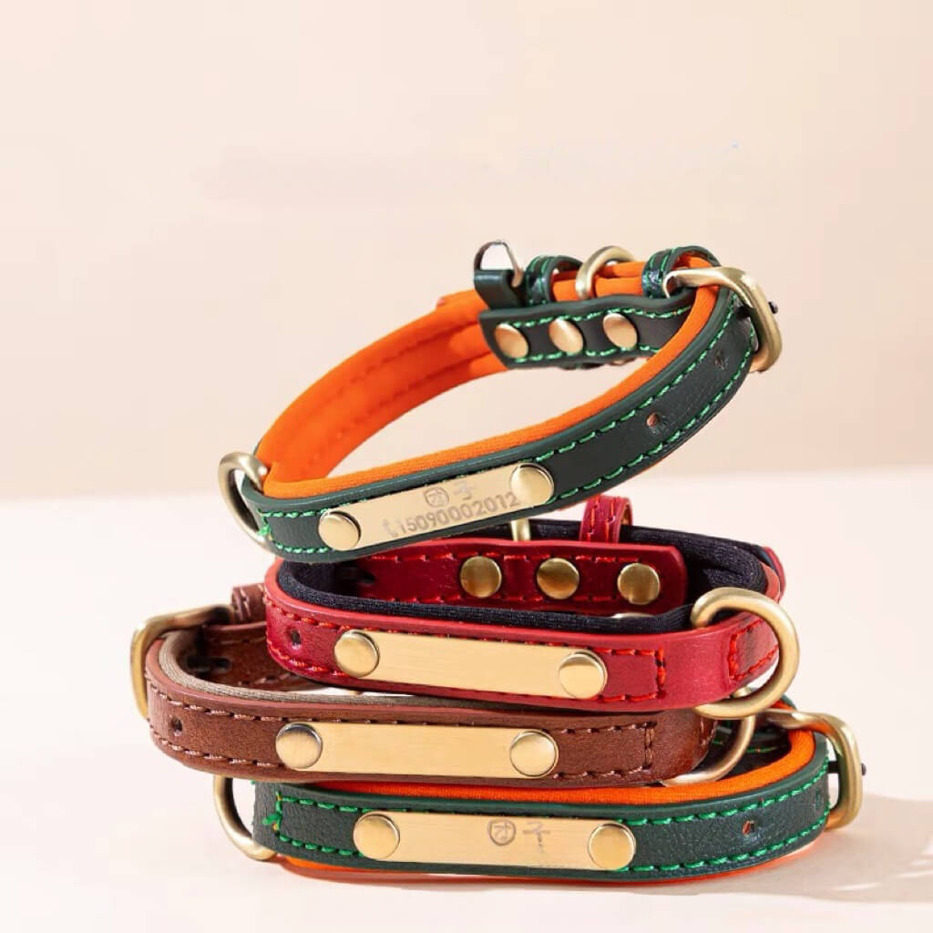 Customizable Padded Pet Collar