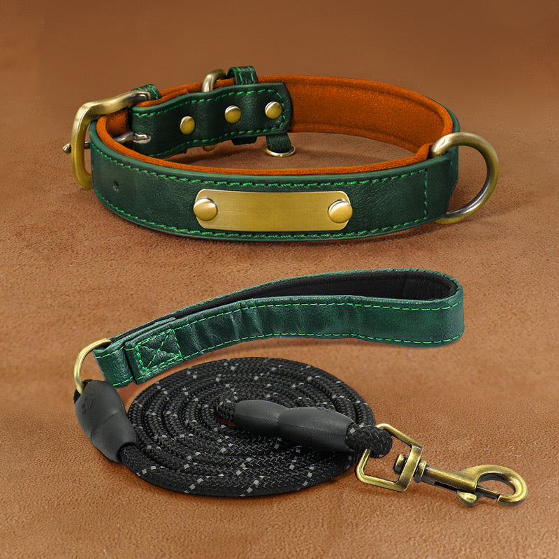 Customizable Padded Pet Collar