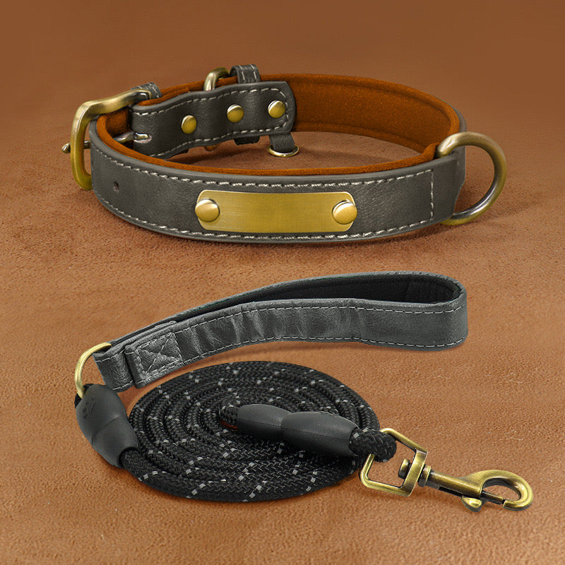 Customizable Padded Pet Collar