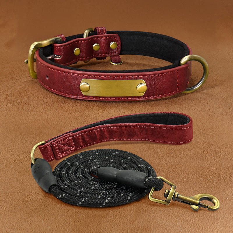 Customizable Padded Pet Collar