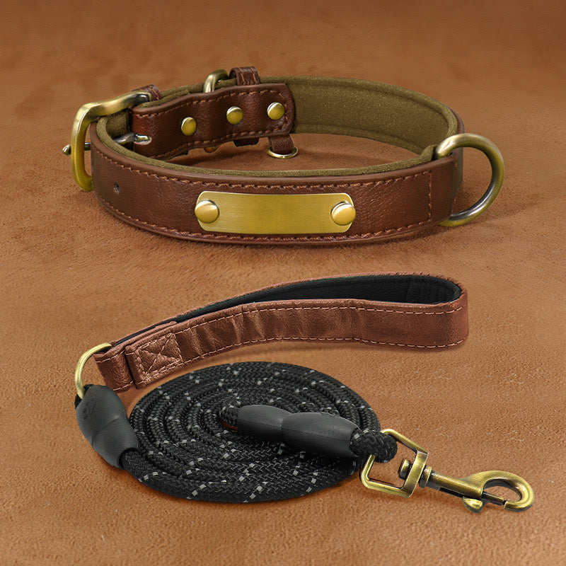 Customizable Padded Pet Collar