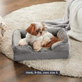 Load image into Gallery viewer, Orthopedic dog bed
