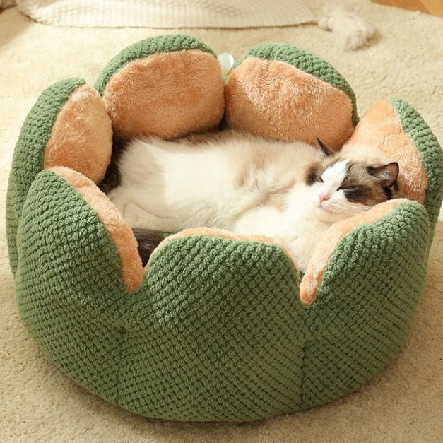 The fluffy cactus bed for pet