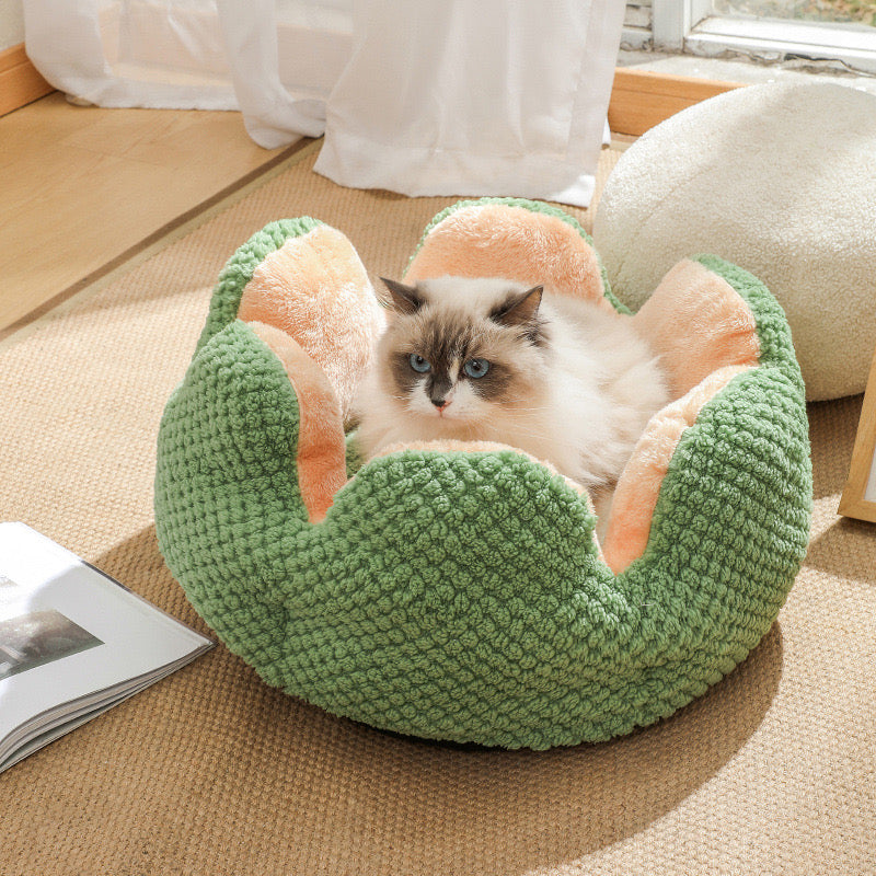 The fluffy cactus bed for pet