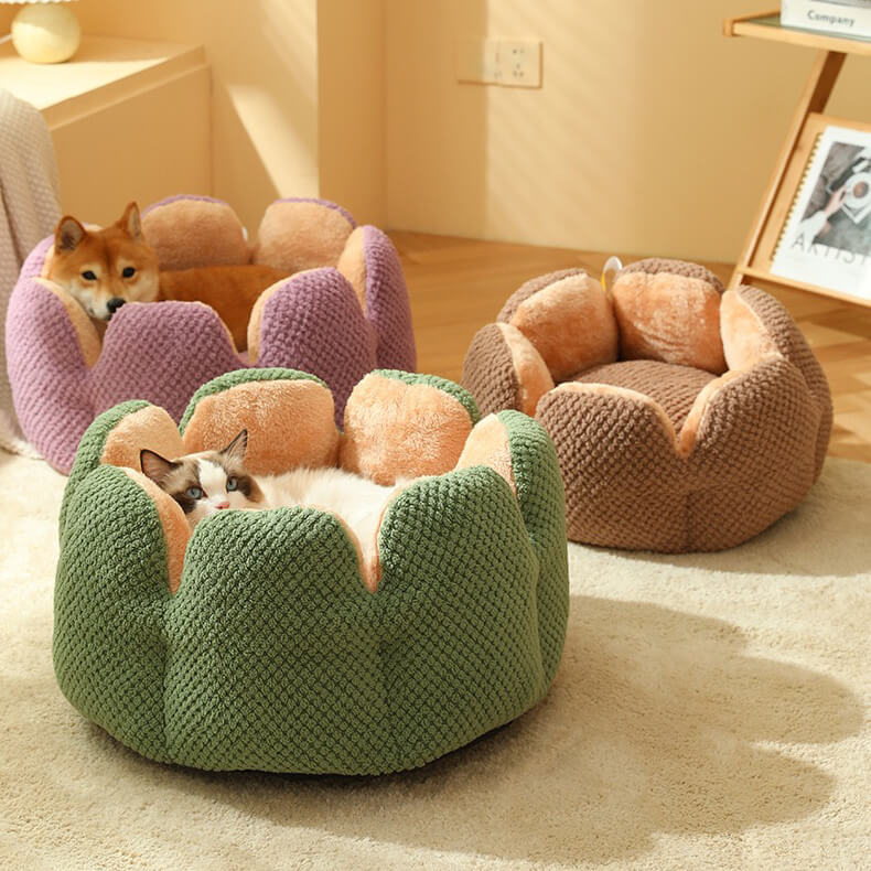 The fluffy cactus bed for pet