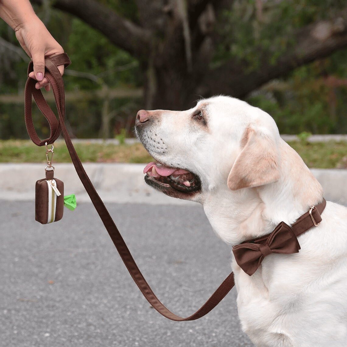 Multiple colour velvet personalised dog collar accessories