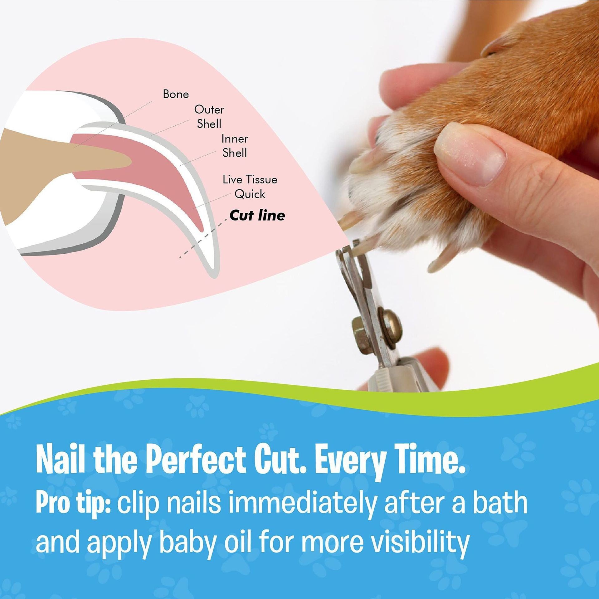 Pets Nail Clippers