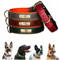 Load image into Gallery viewer, Customizable Padded Pet Collar
