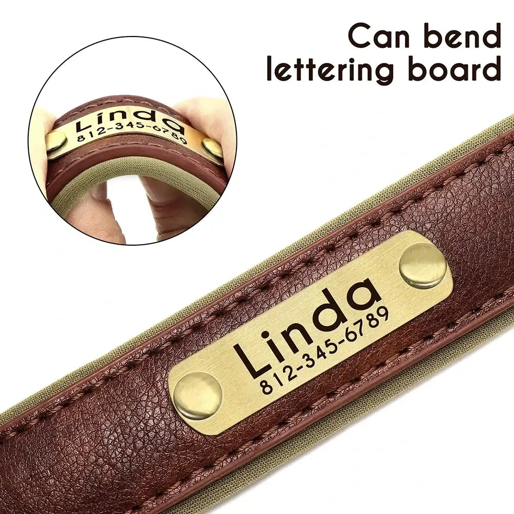 Customizable Padded Pet Collar