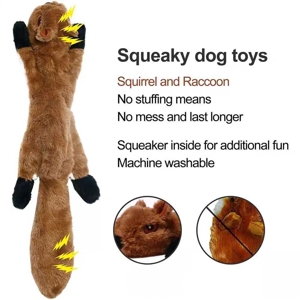 Dog Squeaky Toys