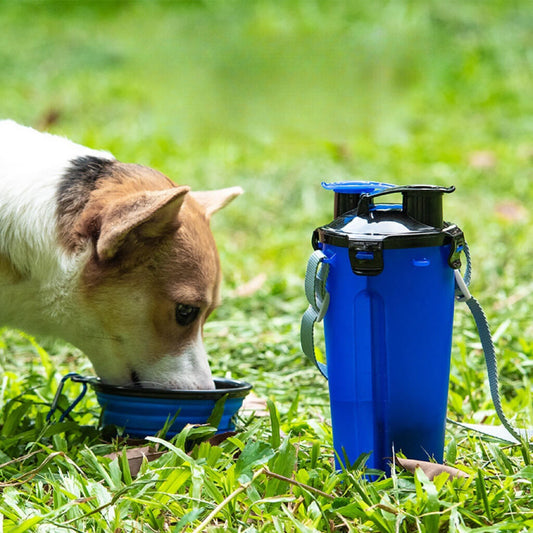 Dog Travel Water Food Bottle Collapsible Bowls