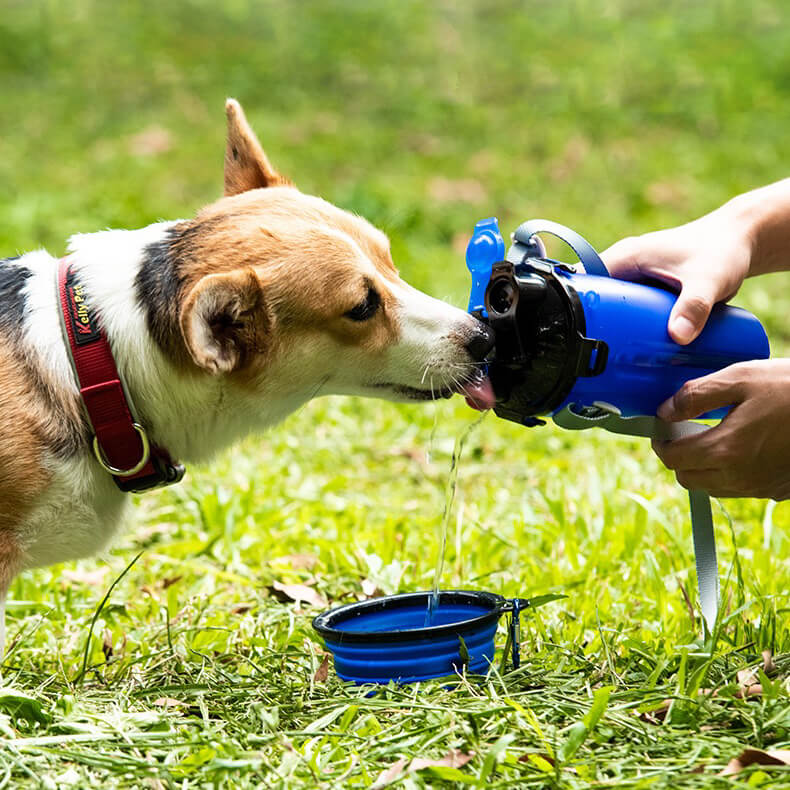 Dog Travel Water Food Bottle Collapsible Bowls