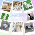 Load image into Gallery viewer, Cute Bow Tie Dog Harness and Leash Set
