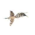 Load image into Gallery viewer, Interactive Bird Simulation Cat Toy Set
