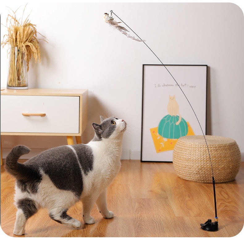 Interactive Bird Simulation Cat Toy Set