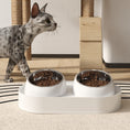 Load image into Gallery viewer, Cat Bowls for Food and Water
